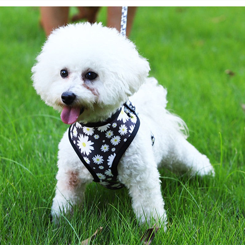 Breathable Dog Harness and Leash Set for Pets