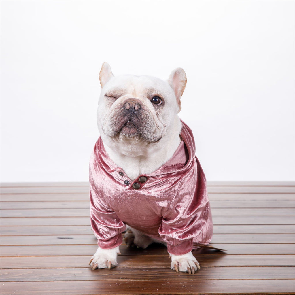 Dense Velvet Hooded Sweater for Dogs - Fall/Winter