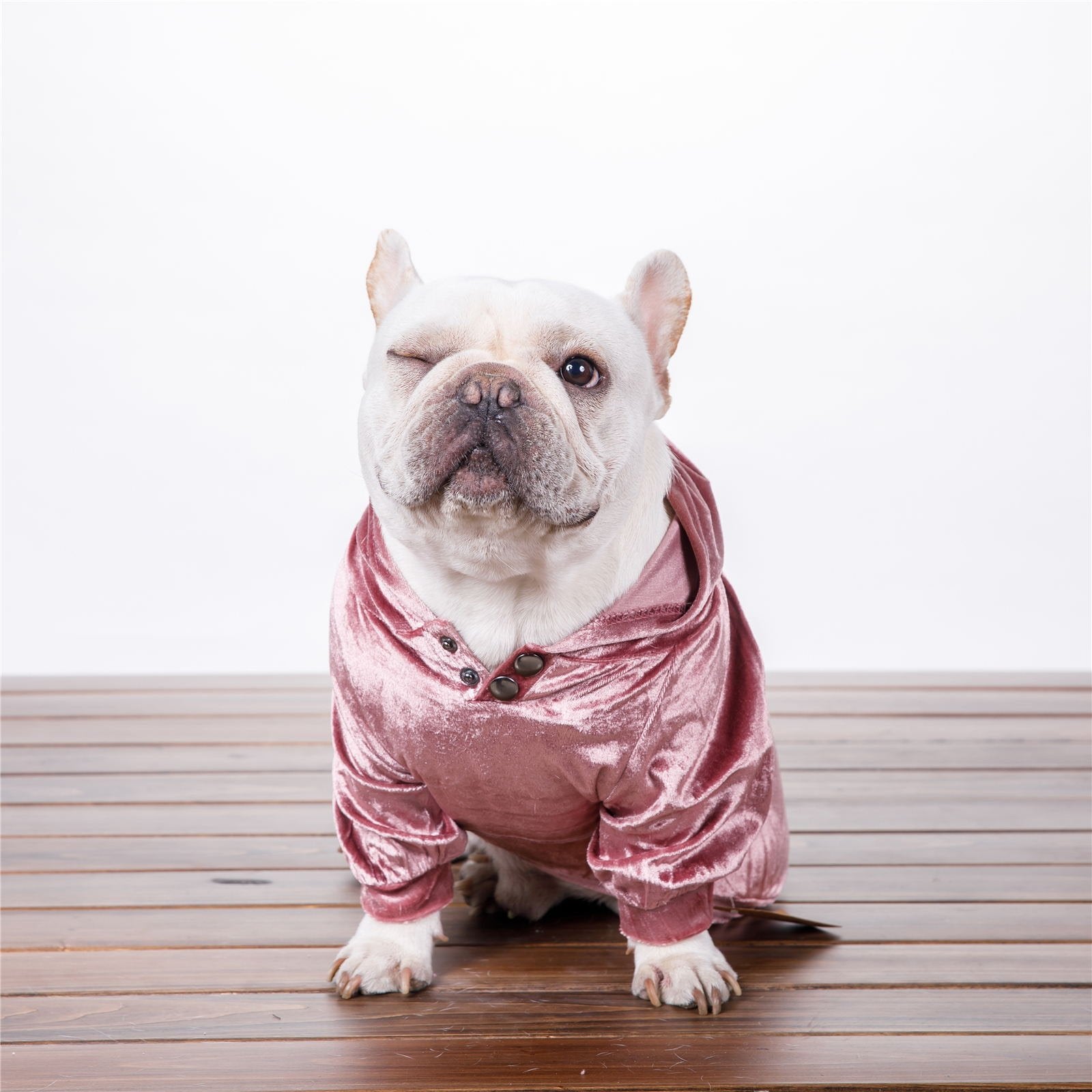Dense Velvet Hooded Sweater for Dogs - Fall/Winter