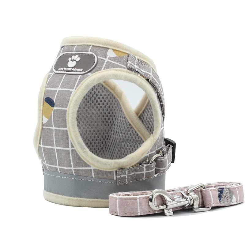 Reflective Dog Leash for Nighttime Walks