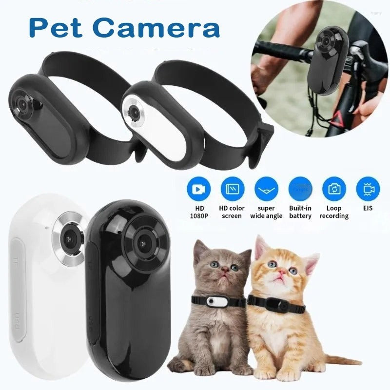 Pet Collar Camera HD