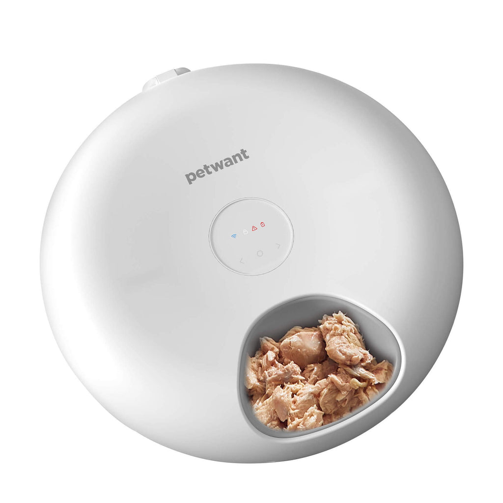 Smart App Cat Automatic Feeder