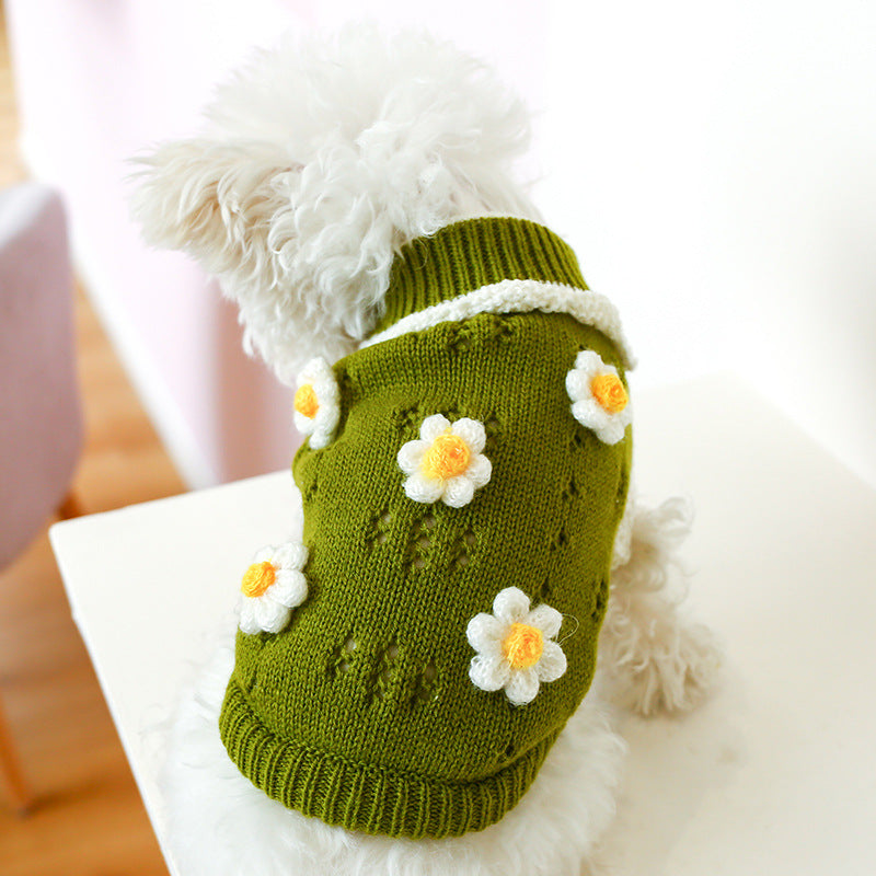 Cozy Sweater for Cats and Dogs to Stay Warm