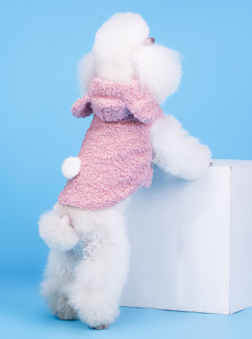 Teddy Dog Pet Clothes for Cubs - Two-Legged Design