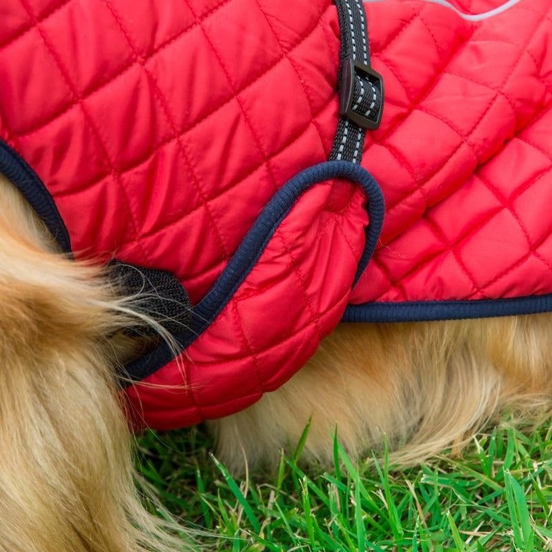 Pet Cotton Jacket Adjustable