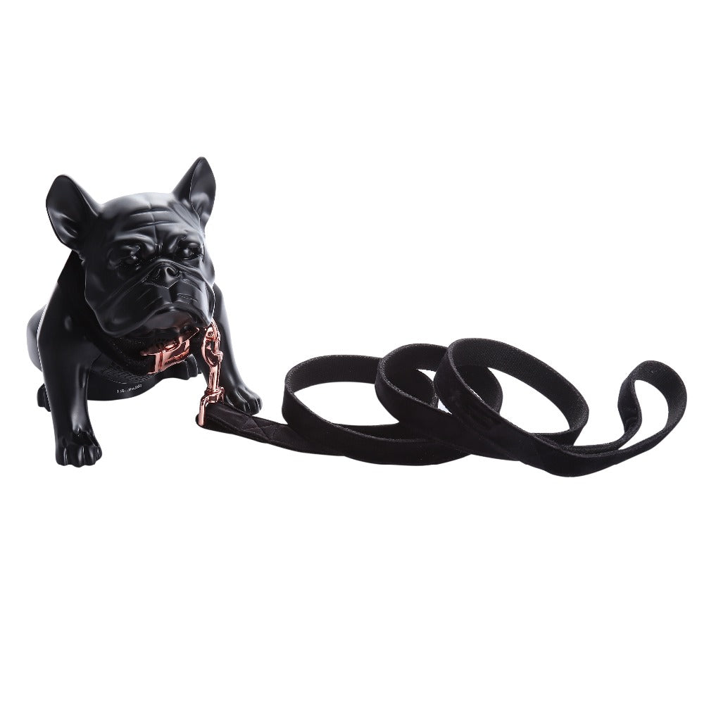Black Fabric Dog Collar with Leash Set and Metal Buckle