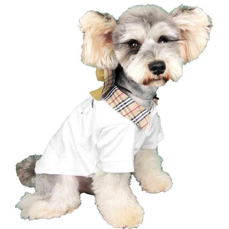 Summer T-Shirt for Small Dogs - Corgi, Teddy, Poodle