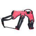 Dog Leash and Collar Set for All Breeds