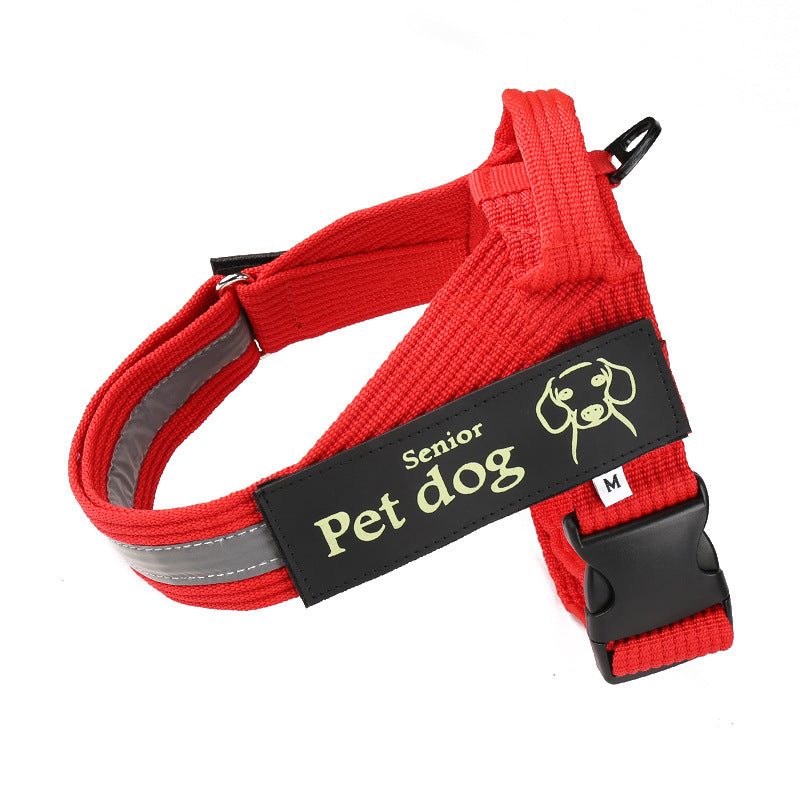 Dog Leash and Chest Harness Set