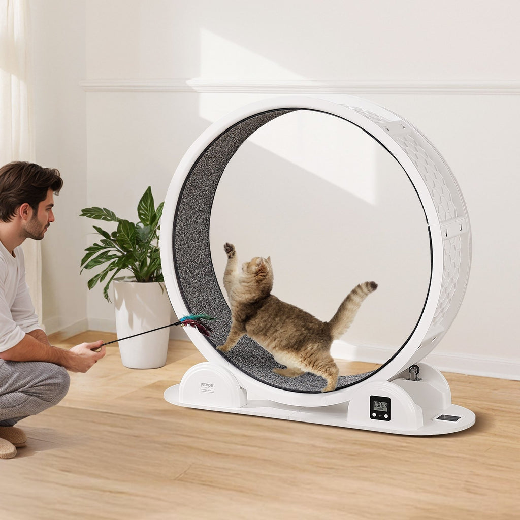 Cat Exercise Wheel with Pedometer