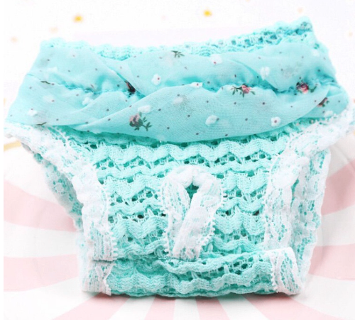 Denim Chiffon Physiological Pants for Small Dogs