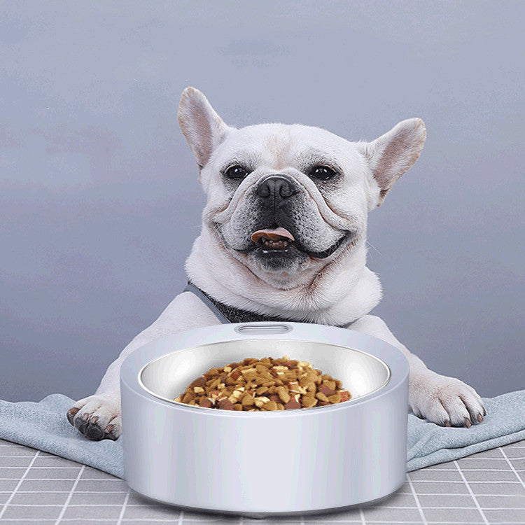 Large Capacity Detachable Stainless Steel Dog Feeder