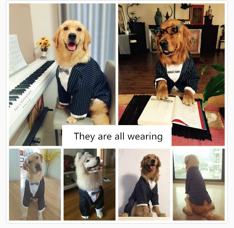 Striped Bowtie Dog Suit and Outfit