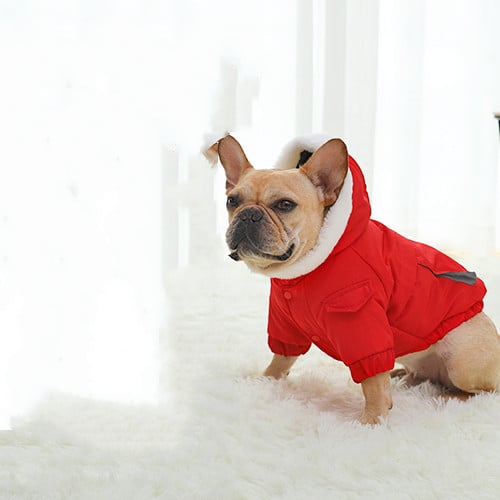 Dog Cotton Winter Clothes with Thick Velvet Lining