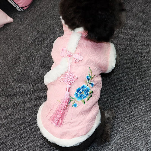 Autumn Winter Teddy Corgi in Tang Suit Cat Hanfu