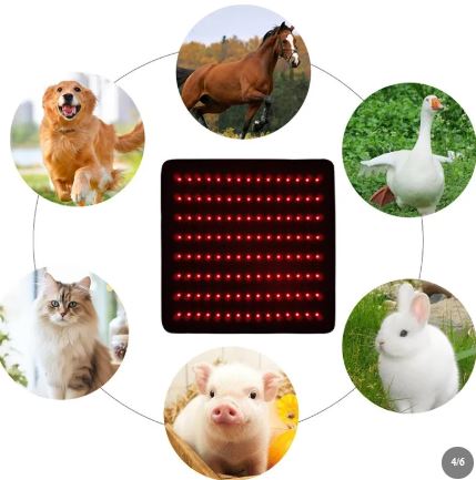 Horse Infrared LED Red Therapy Pad