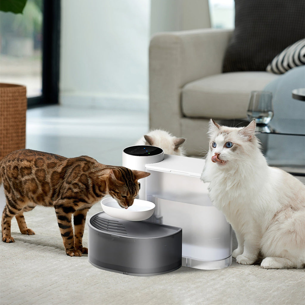 Smart Cordless 3L Pet Water Fountain