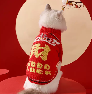 Autumn and Winter Sweaters for Shedding Kittens