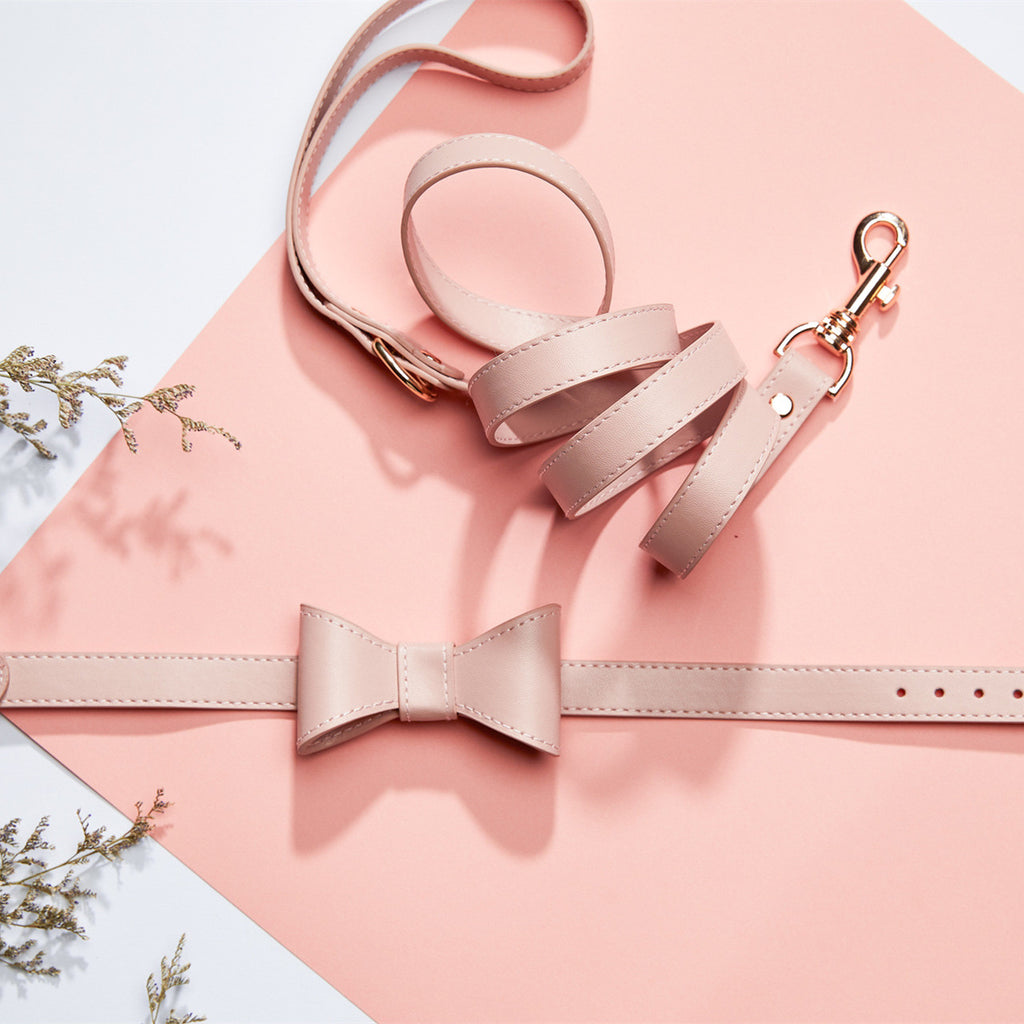 Cute Bow Collar and Leash Set for Pets