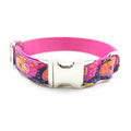 High-Quality Alloy Buckle Traction Collar