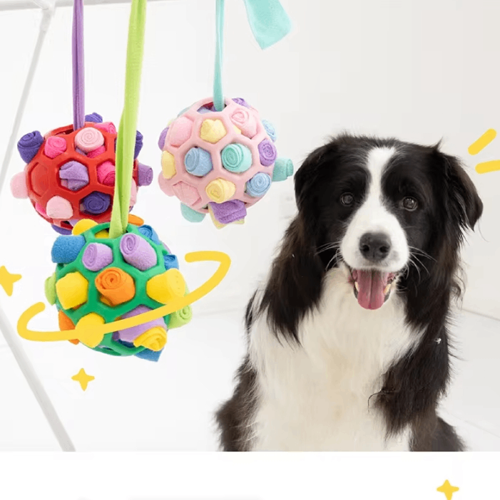 Pet Sniffing Ball Small Size Chew Toy