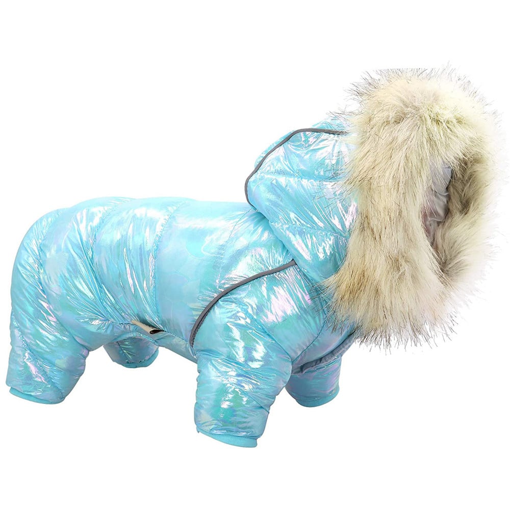 Colorful Dog Sweater with Button and Hat (Four Legs)