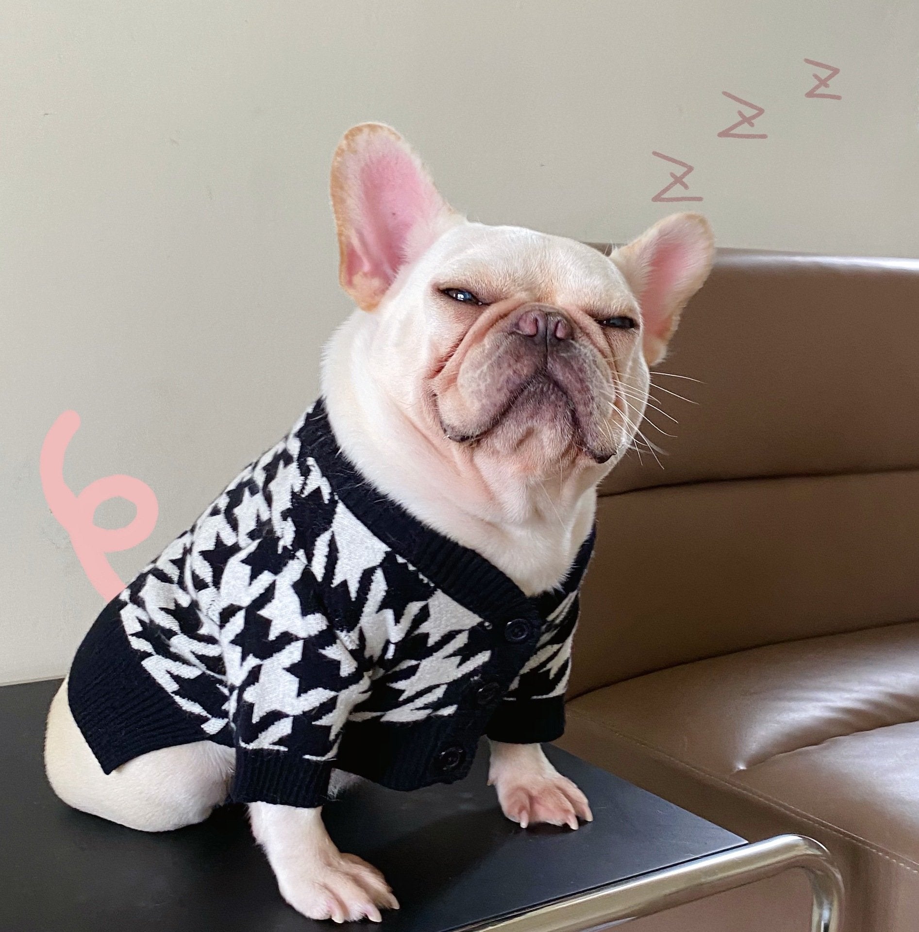 Pet Tide Brand Fall Winter Sweater for Dogs and Cats