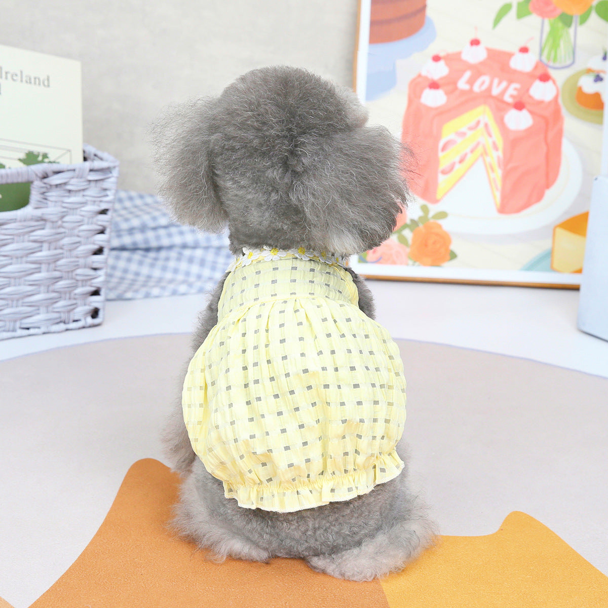 Spring Summer Puppy Dress in Pet Fashion Collection