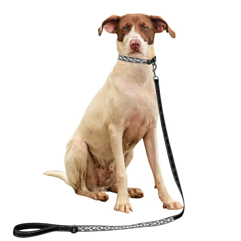 Climbing Ropes for Small, Medium, and Large Dogs
