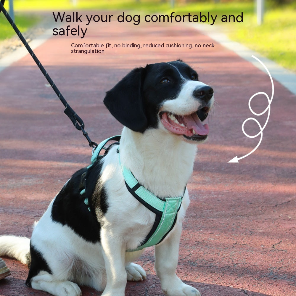 Reflective Dog Vest with Leash for Medium to Large Dogs