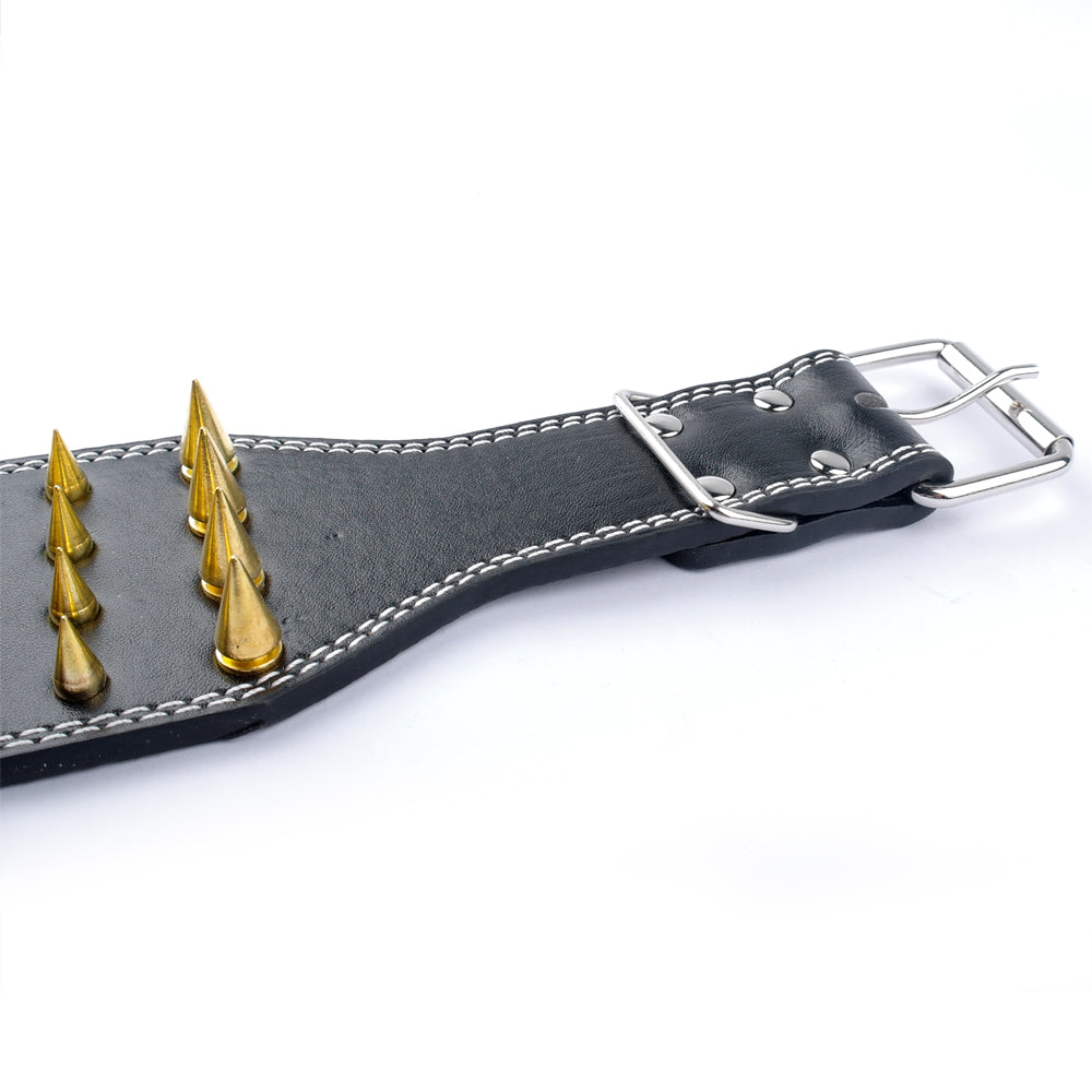 New Sharp Spiked Collar for Large Dogs (Golden Retriever)
