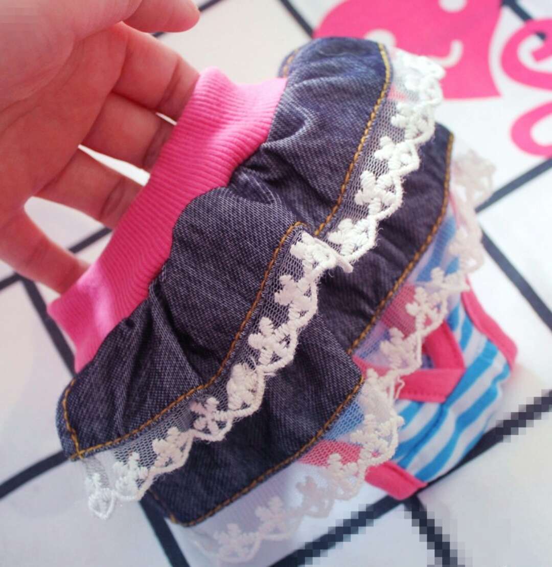 Physiological Panties for Female Dogs