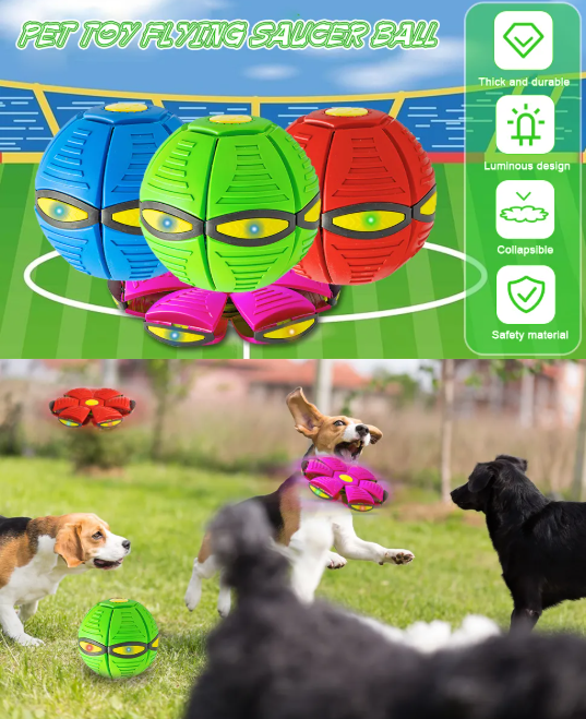 Magic UFO Dog Ball
