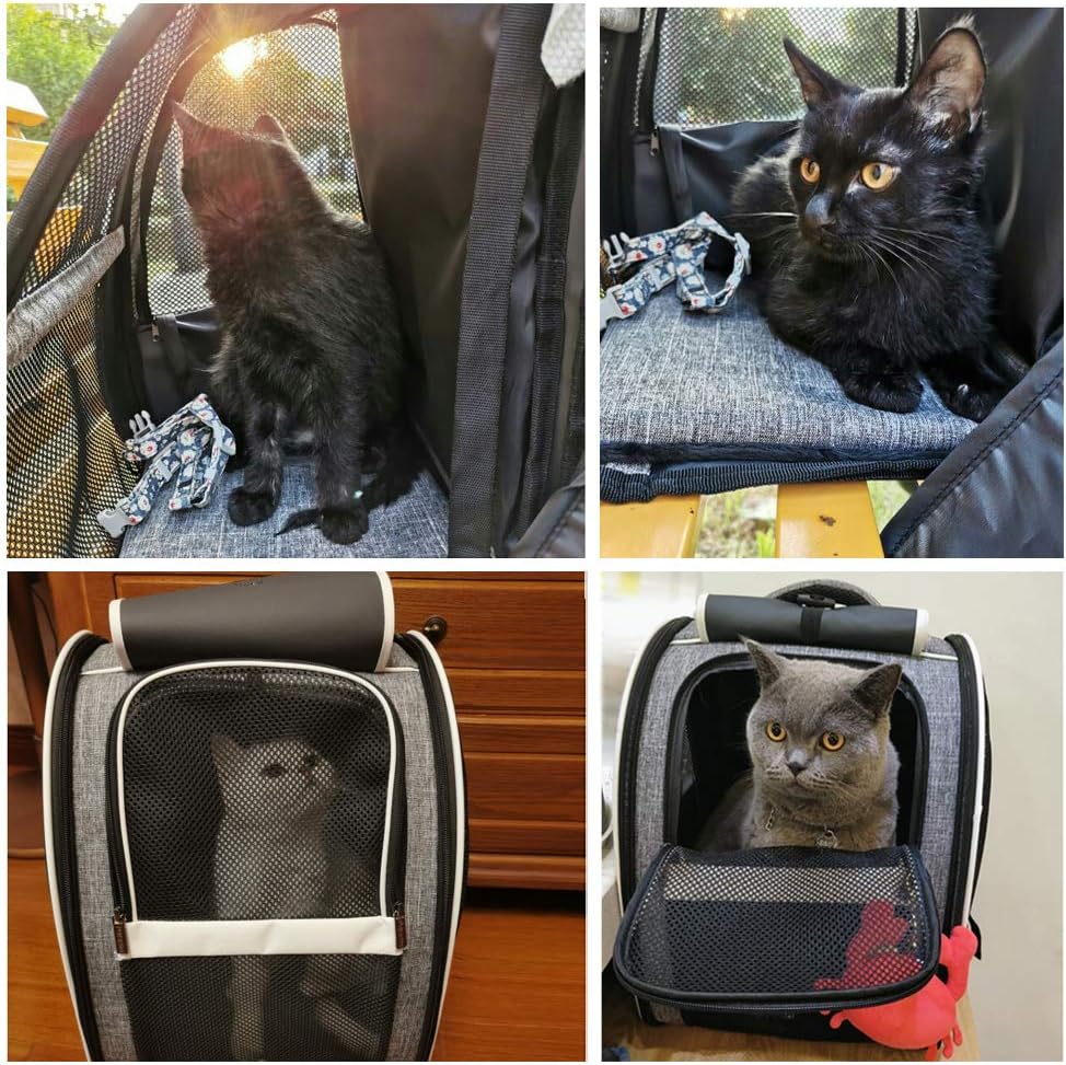 Pet Backpack