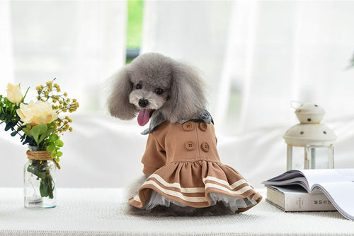 Autumn Winter Princess Dress for Pets