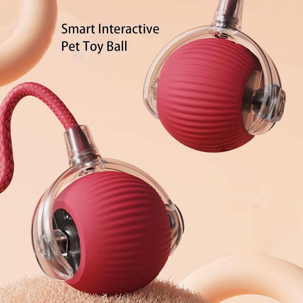 Automatic Rolling Interactive Pet Ball