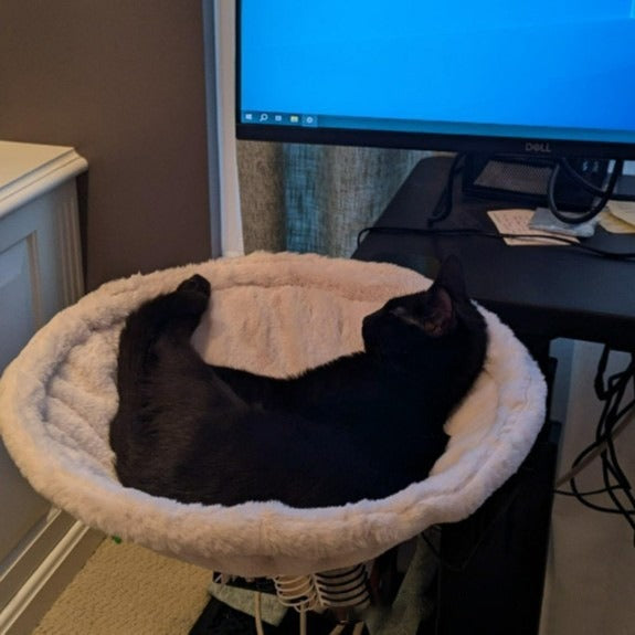 Adjustable Cat Hammock Kitten Bed