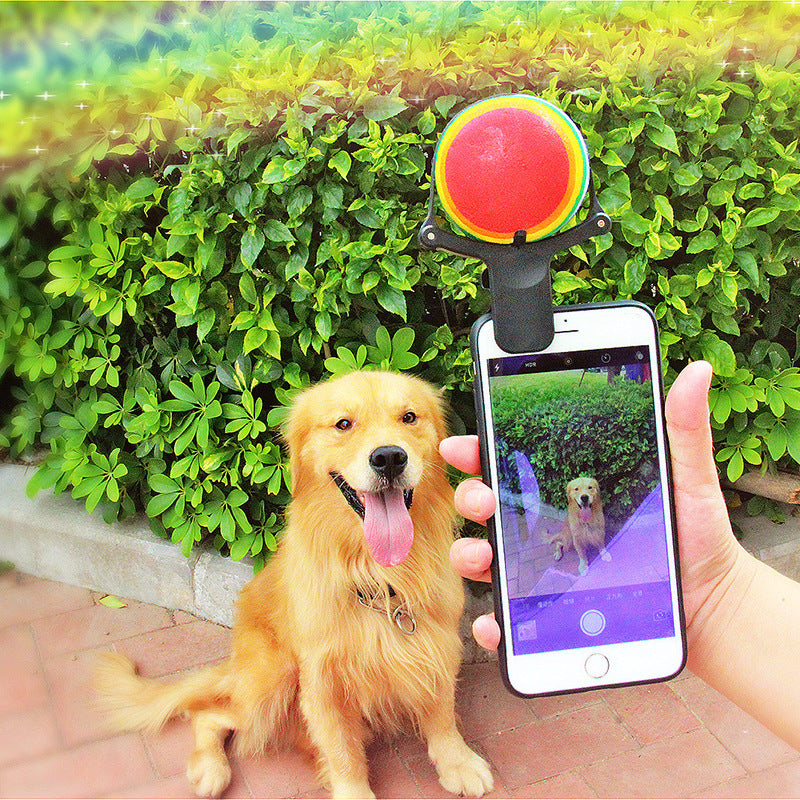 Funny Dog Camera Phone Clip for Pet Photo Props