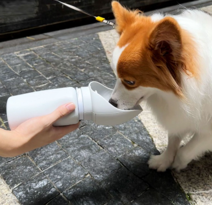 Foldable Silicone Pet Water Bottle