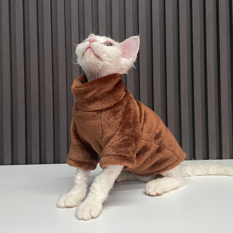 "Fashionable Clothing for Hairless Cats"
