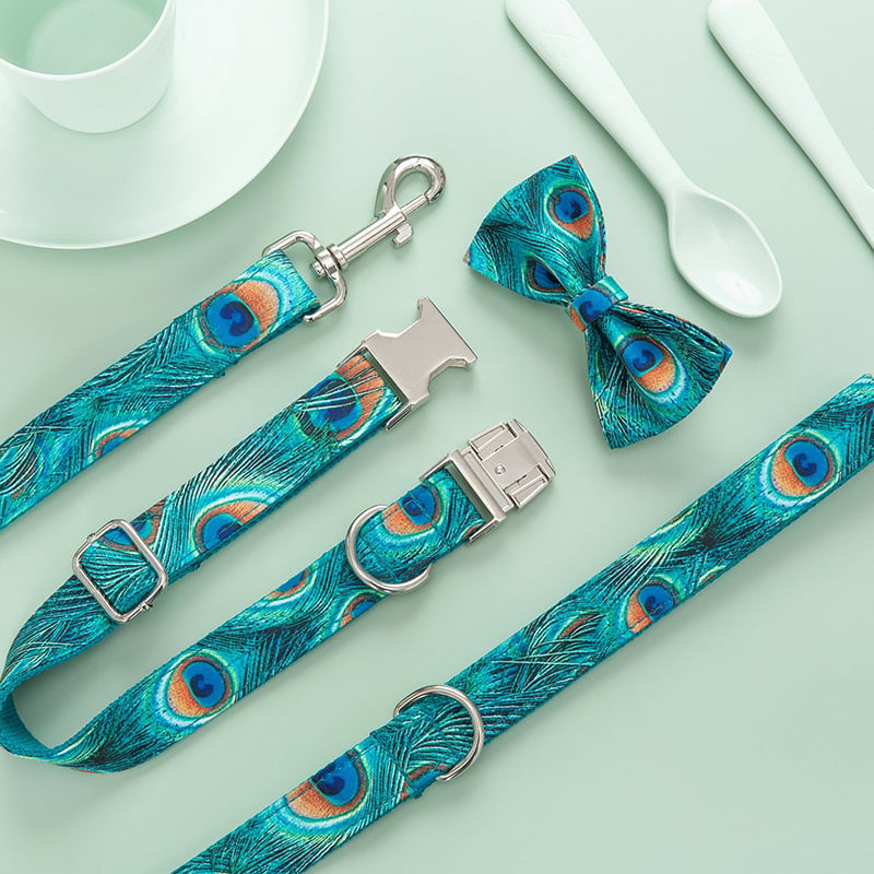 Medium Dog Bow Set with Collar and Leash Supplies