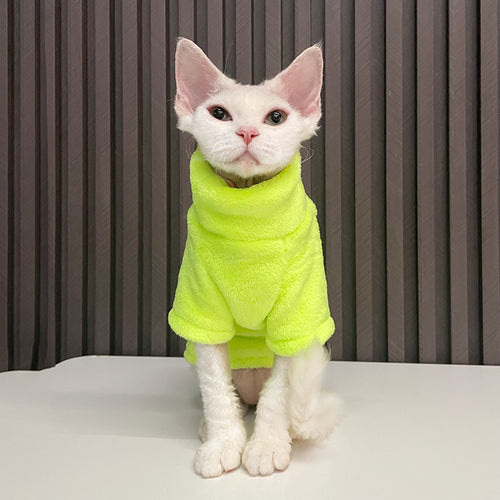 "Fashionable Clothing for Hairless Cats"