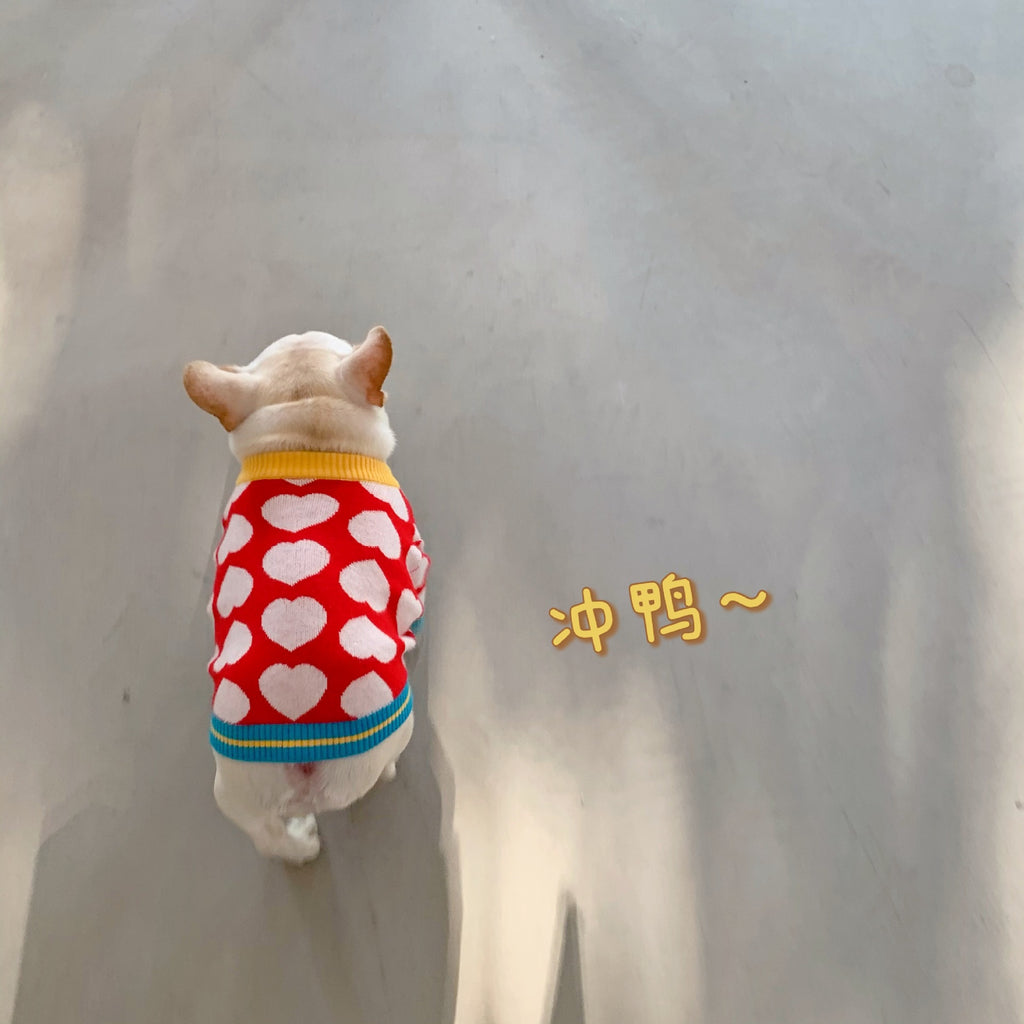 Trendy Pet Sweatshirts for Dogs and Cats (Fall/Winter)