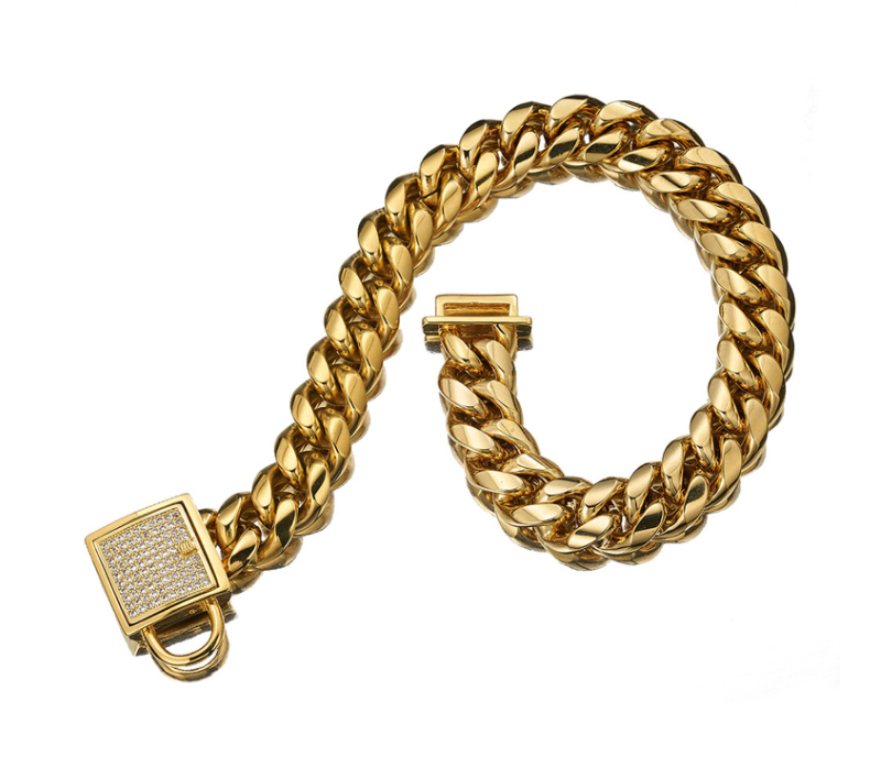 Pet Dog Collar with Stainless Steel Titanium Chain
