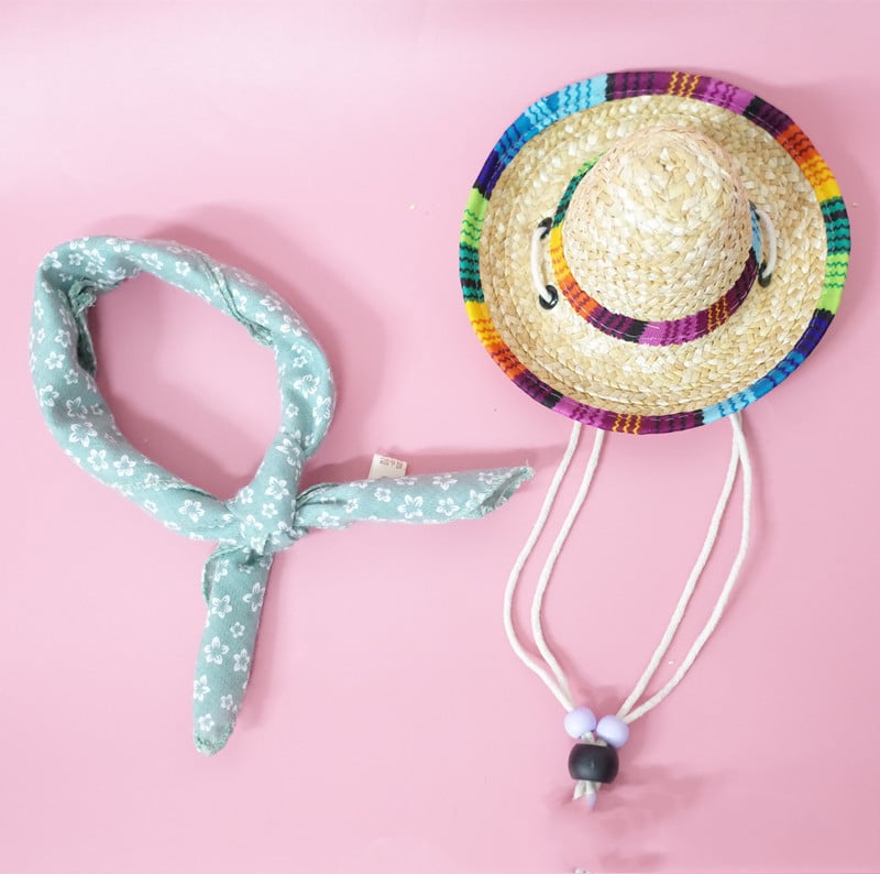 Summer Outing Set for Pet Accessories