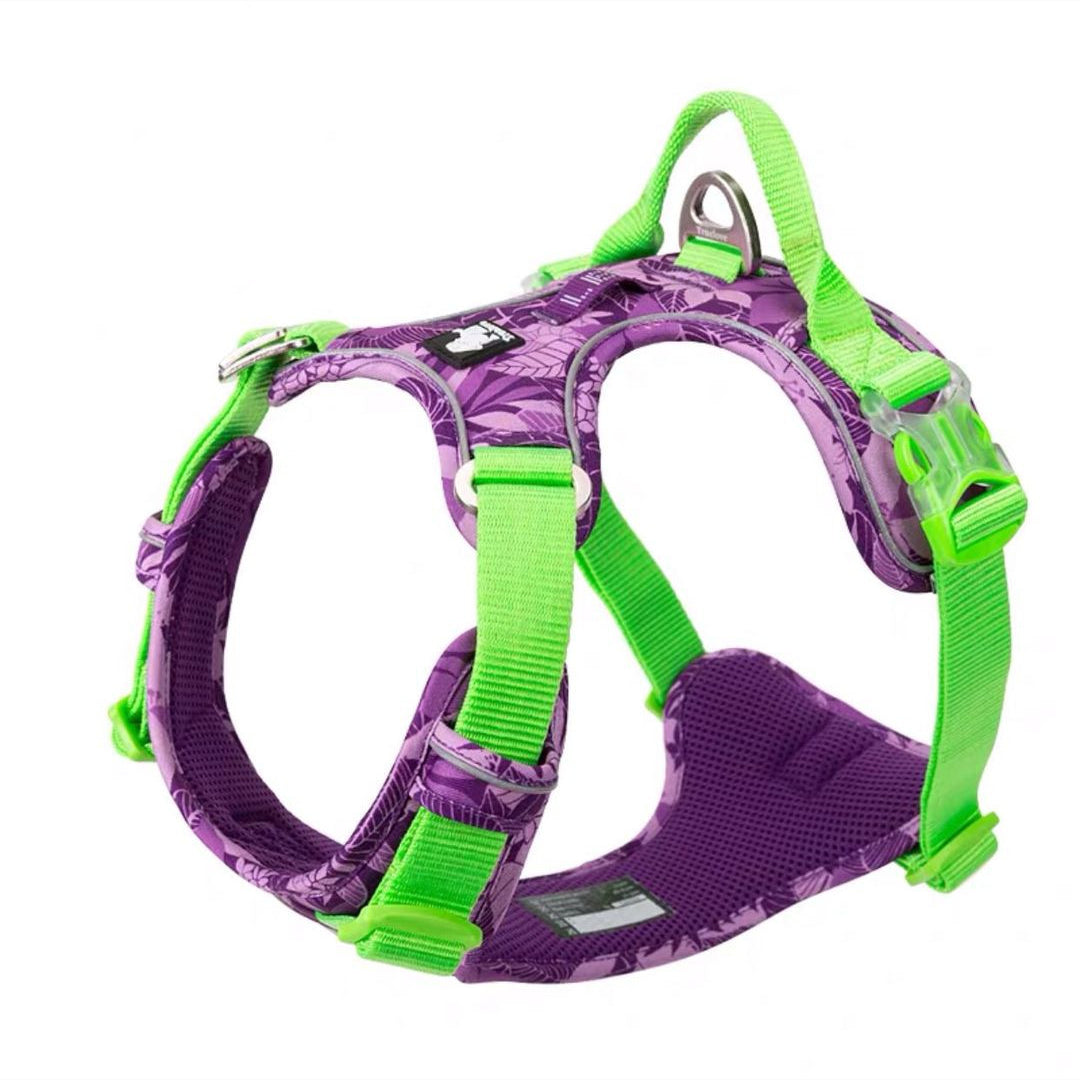 Comfortable Chest Strap for Labrador Dogs
