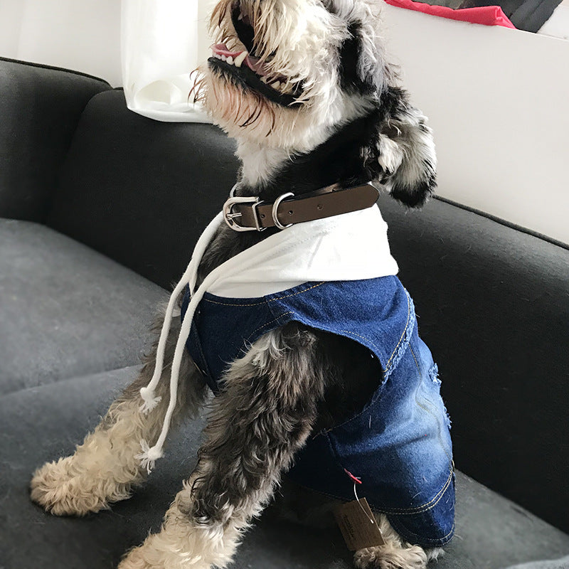 Spring Autumn Teddy Denim Vest for Small Dogs and Cats