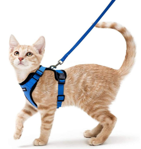 Reflective Breathable Chest Strap for Cats