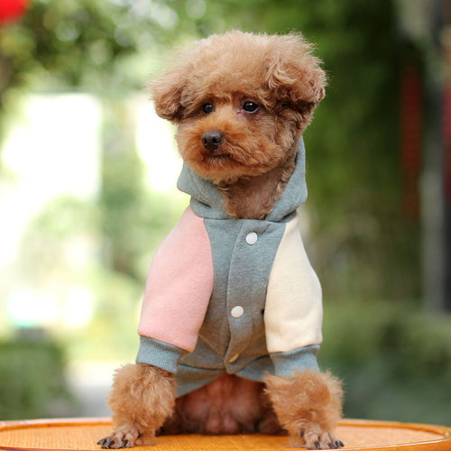 Autumn Coat for Small Dogs Keeps Them Warm