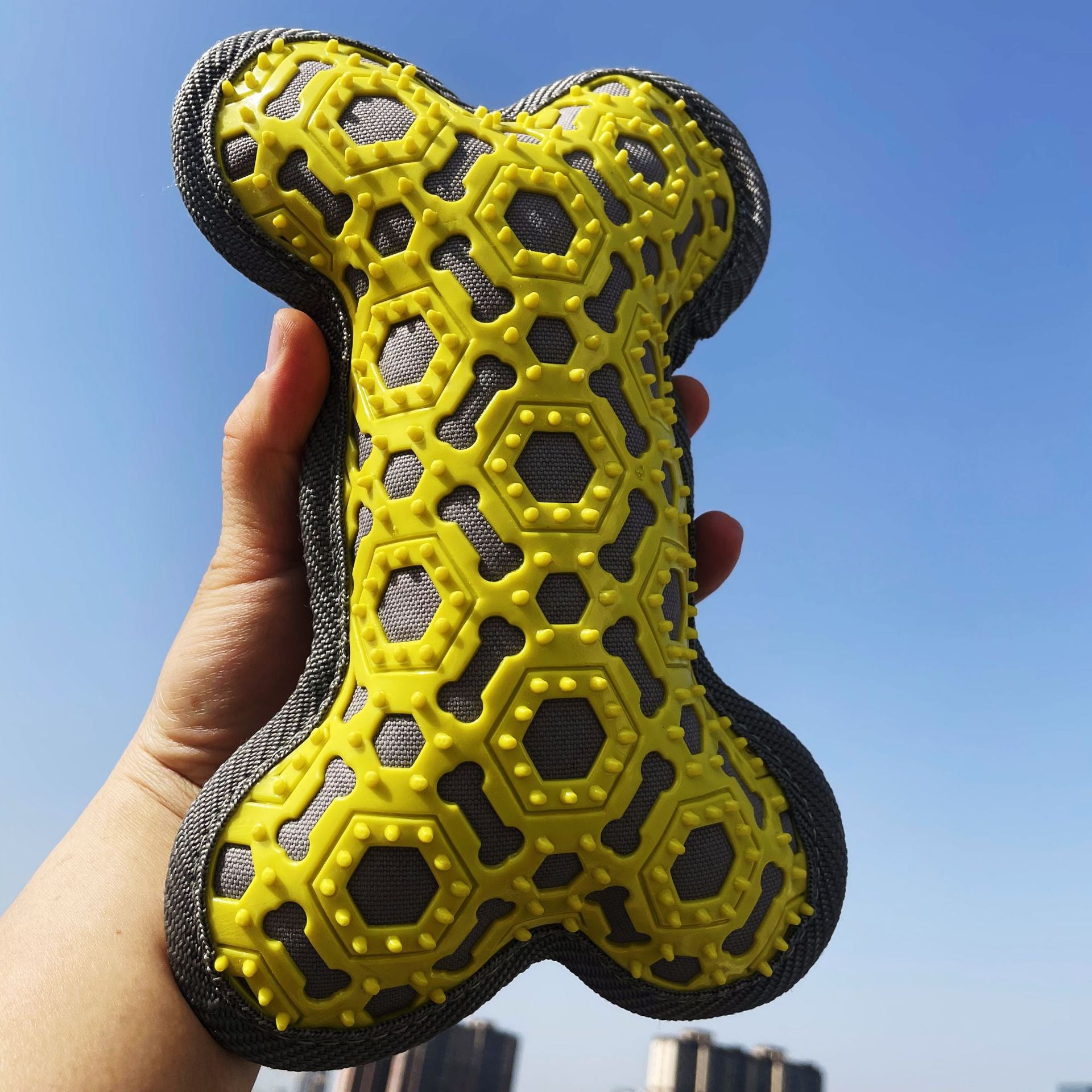 Voice Bone Bite Resistant Toy for Pets